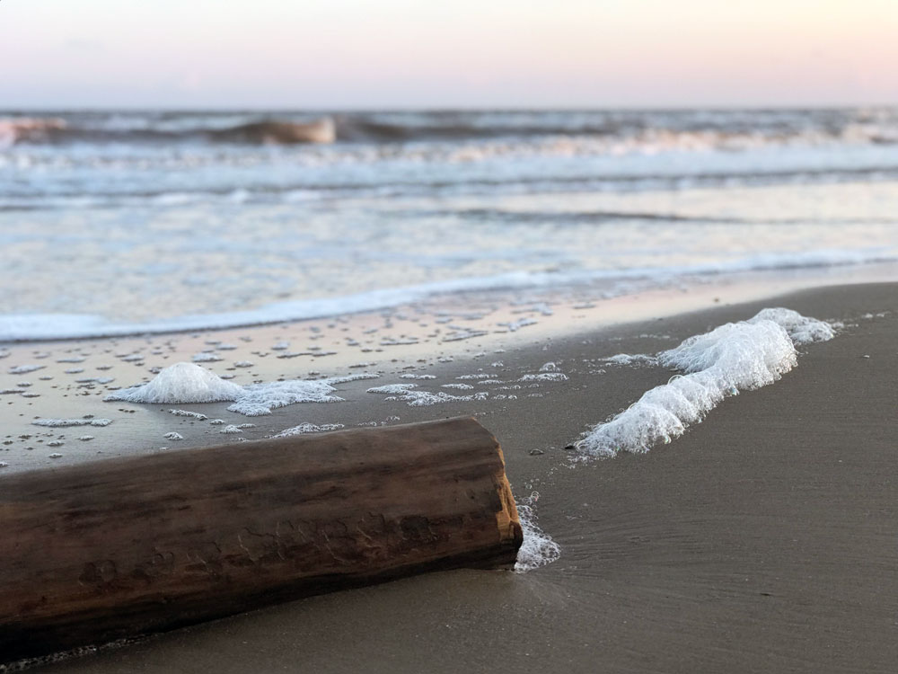 beach-log